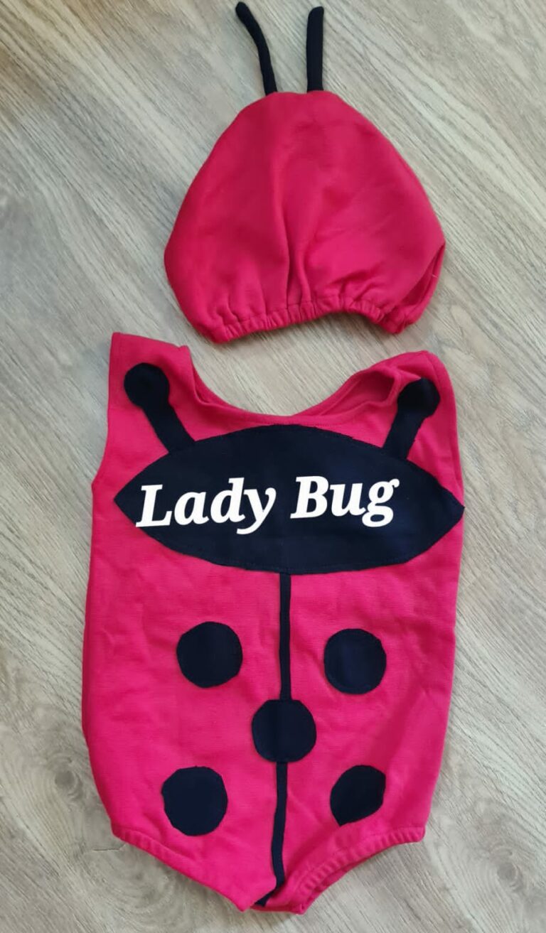 Lady bug dress